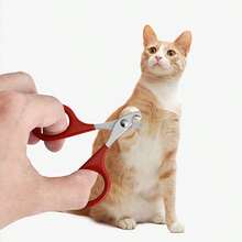 1/2pcs Professional Pet Nail Clippers Set, Dual Hole Pet Nail Trimmer, Suitable For Cats & Dogs, Durable Structure, Pet Nail Care