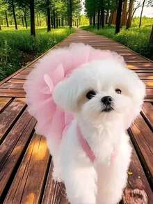 1 件优雅芭蕾薄纱裙宠物狗服装，公主裙无袖浪漫派对装，适合小型犬、猫，清凉春夏