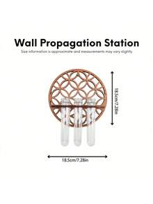 1个室内植物壁挂式种植架，植物繁殖站壁挂式，植物繁殖瓶，带木架的壁挂式繁殖站，多层塑料试管种植架，壁挂式生态瓶，适用于家庭办公室植物悬挂、花瓶、墙面装饰、水培扦插，带木架，适用于水培植物，独特的园艺用品，适合女性、母亲、植物爱好者、家居装饰、房间装饰、墙面装饰礼物、生日毕业礼物