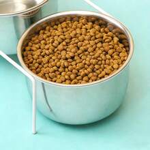 三合一倾斜式猫狗碗，适用于多只宠物，可盛放食物、零食和水，防溢宠物用品 - 700mL - 查看 8