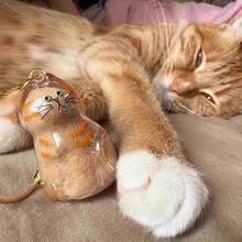 1pc Transparent Cat Hair Capsule Pendant, Pet Hair Memorial Keychain, Suitable For Cat Lovers, Can Be Used As Bag Charm Or Room Decor - Multicolor - View 4