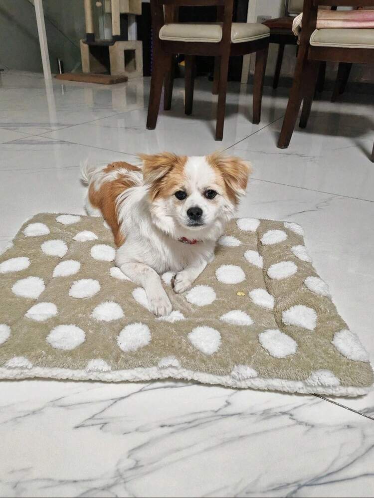 Polka Dot Pet Mat For Small Medium Dogs & Cats, 3 Colors Available, All-Season Universal Soft Plush Pet Bed Pad, Machine Washable Crate Mat For Dog Crate, Pet Stroller & Kennel - Multicolor - View 6