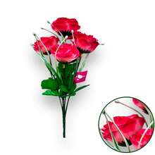 Rosa Fucsia