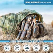 CYPNFlukers Sand Substrate for CrabsFashion - como en la foto - Ver 6