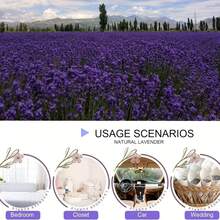 15/24/35 Bagged French Lavender Fragrance Bag, Suitable For Drawers And Wardrobes, Long-Lasting Fresh Fragrance, Home Fragrance Bag, Purple Style, Spring Summer Picks, Brides Maid Gifts, Room, Bedroom Decor, Bedroom Decor, Beach, Travel, For Men, For Women, Vacation - Multicolor - View 4