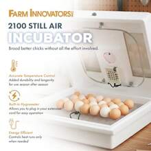 CYPNFarm Innovators 2100 - Incubadora de Aire sin calefacción para 4 docenas de Huevos con higrómetro Integrado Circuito de Estado sólido y 2 Ventanas de visualización Grandes Color BlancoFashion - 227394737 - Ver 3