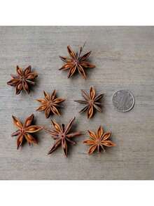 1 Piece, 15 Pieces, 25 Pieces, 35 Pieces Of Dried Plants, Dried Flowers, Dried Leaves, Fragrance Cinnamon Sticks, Star Anise Craft Items, Decorative Accessories. Suitable For Decorative Use In Handmade Soaps, Suitable For Decorating Handmade Accessories To Enhance Fragrance, Suitable For Various Decorative Pieces For Festival Activities - Multicolor - View 6