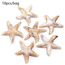 10-100pcs Acrylic Natural Beach Spiral Seashell Charm - Seashell Loose Pendant For Summer DIY Earrings, Bracelets, Necklaces, Jewelry Making Accessories - Seashell Pendant - View 13