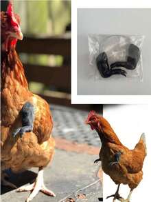 1pc Funny Prank Realistic Dinosaur Chicken Arm Toy, Novelty Gag Prop For Decoration, Pet Photo Shoot, Halloween, Unique Gift - Integrated - View 11