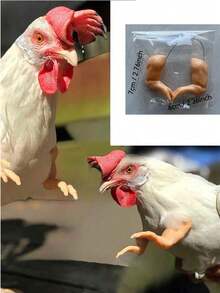 1pc Funny Prank Realistic Dinosaur Chicken Arm Toy, Novelty Gag Prop For Decoration, Pet Photo Shoot, Halloween, Unique Gift - Integrated - View 9