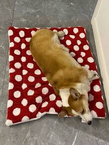波点宠物垫，适用于中小型犬猫，3种颜色可选，四季通用柔软毛绒宠物床垫，可机洗，适用于狗笼、宠物推车和犬舍。 - 彩色 - 查看 5