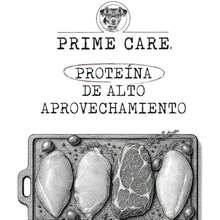 Alimento para Perros Senior (+7 Años) Razas Pequeñas y Mini, 2 kg, Ideal para Perros Adultos Mayores de Talla Pequeña o Mini. - / - Ver 5