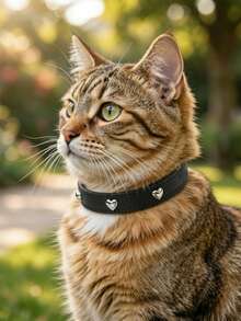 Phụ kiện thú cưng ngày Valentine, Vòng cổ thú cưng, Vòng cổ chó bằng da thật có thể điều chỉnh kèm chuông, Dây đeo cổ, Vòng cổ chó hình trái tim đính đinh tán phong cách Punk bằng da thật, Kích thước lớn phù hợp cho chó và mèo nhỏ, Dây đeo cổ hình gấu bông cho chó nhỏ (Màu đen) - màu đen - Xem 4