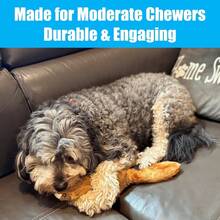 CYPNJuguete para Perros Skinneeez Plus Duradero sin Relleno de Ethical Pet Ardilla n/aFashion - como en la foto - Ver 4