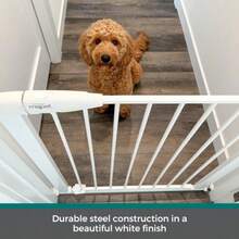 Pet Barriers - Blanco - View 6