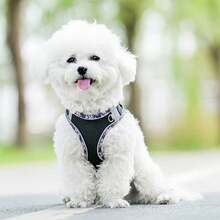 [Reflective Puppy Harness] Soft Mesh Reflective Puppy Pet Chest Harness Set | Easy Walking, Running, Training Safety Belt For Dogs - Anti-Escape Dog Safety Belt - Multicolor - View 4