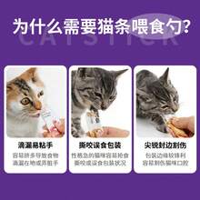 Pet Feeder: Cat Food Squeeze Feeder, Snack Feeding Spoon For Cats