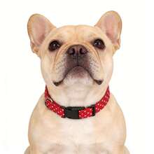 Valentine's Day Dog Collar,Red Heart Dog Collar Valentine Gift Love For Small Medium Large Boys Girls Dogs, Wedding Pet Collar With Plastic Buckle D Ring - Red - View 9