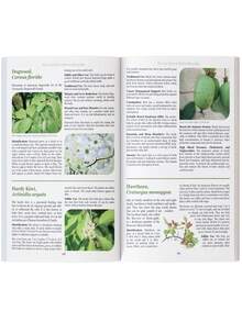 The Healing Power Of Plant Medicine  Paperback Colored Inner Pages For Friends Family - 綠色 - 查看 7