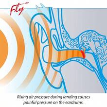 Fly Earplugs - Painless Flying - Earplugs Facilitate Pressure Equalization In Airplane - 24 DB SNR Noise Reduction - Reusable - 1 Pair - Adults - US/F/IT Regular - M - 查看 4
