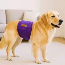 宠物狗生理裤、公狗尿布、狗卫生裤、防骚扰裤、宠物用品 - 多色 - 查看 5