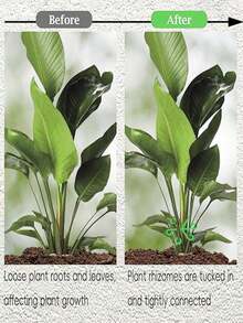 4/8pcs Plastic Plant Support Anti-Tip Bracket, Foldable Hydroponic Flower Stem Fixer, Garden Plant Support - Collapsible Rack - View 4