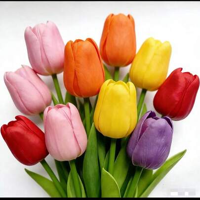 色彩鲜艳，非常适合客厅、餐桌和书桌。