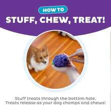 Outward Hound Dental Grapes Dog Toy &Amp; Treat Stuffer, 6\U2033 X 3\U2033 Grape-Scent Interactive Chew For Dogs, Helps Clean Teeth, Promote Healthy Gums &Amp; Mental Enrichment, Reduce Boredom &Amp; Support Dental Health - ColorC - 查看 3