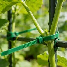 100 piezas de bridas de sujeción verdes autobloqueantes, cuerdas de amarre de jardín, bridas de plástico, bandas de envoltura de plástico, correas de fijación de plantas, adecuadas para diversos artículos en el hogar y el jardín, correas de sujeción automática - Multicolor - Ver 3