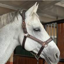 TGW RIDING Glittery Rose Gold And Black Horse Headcollar, Horse Halter, Crafted With High-Quality Materials, This Halter Is Suitable For Everyday Use And Can Withstand The Wear And Tear Of Outdoor Activities. - Multicolor - View 7