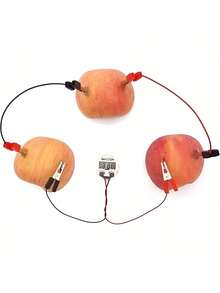 EstiloWalfront Kit De BateríA De Patata DIY Para NiñOs, Juego De Juguete Educativo Para Experimentos De Ciencia De BioenergíA Para Estudiantes De Primaria, BateríA De Fruta, Experimentos DeVersióN Mejorada