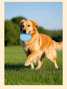 Pet Toy, Dog Training Interactive Toy, Pet Chew Toy, Pet Silicone Soft Training Disc, Durable Dog Toy, Interactive Dog Chew Toy, Suitable For Puppy And Adult Dog Fun Training And Exercise - Multicolor - View 5