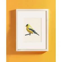PeakLuv Small Diamond Painting Kits Birds, 12 Pcs Birds Mini Diamond Art Kits For Adults, 5D DIY Square Drill Diamond Dots, Quickly Finishable Cardinal Mini Gem Art For Home Wall Desktop Decor, 6X7in - Birds - 查看 9