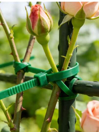 100 piezas de bridas de sujeción verdes autobloqueantes, cuerdas de amarre de jardín, bridas de plástico, bandas de envoltura de plástico, correas de fijación de plantas, adecuadas para diversos artículos en el hogar y el jardín, correas de sujeción automática