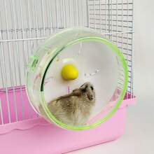 3 Size Options Hamster Running Wheel Toy, Quiet, Small Pet Rotating Exercise Wheel, Small Pet Activity Wheel Toy, Hamster Cage Accessory (Random Style) - Multicolor - View 4