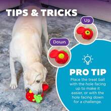 Outward Hound By Nina Ottosson Fruity Findz Interactive Plush Dog Puzzle With Treat Ball Dog Enrichment Toys, Plush, Red - ColorC - 查看 5