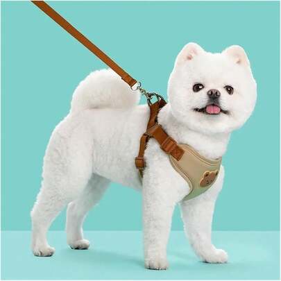 遛狗牵引绳，宠物胸背带，适合中小型犬，户外牵引绳，宠物胸背带，狗绳，泰迪狗绳