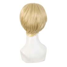 MapofBeauty 10 Zoll/25 cm Side Pony Mode Herren kurze Gerade Perücke Hohe-Temperatur Faser Normale Perücke (Gold)-6791 - GemischtGoldene - Übersicht 5