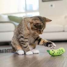 Catstages Crunchy\U202FPickle\U202FKicker\U202FCat\U202FToy \U2013 Plush Crinkle Toy With Catnip And Dental Mesh, 6.5" - ColorB - 查看 7