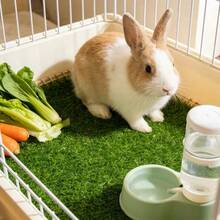 5pcs Reusable Small Pet Lawn - Suitable For Hamsters, Guinea Pigs, Used For Decorating Hamster Cages, Artificial Grass, Suitable For Hamsters, Mice, Small Pet Habitats - Multicolor - View 7