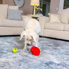 Outward Hound By Nina Ottosson Fruity Findz Interactive Plush Dog Puzzle With Treat Ball Dog Enrichment Toys, Plush, Red - ColorC - 查看 8
