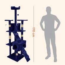 Cat Trees & Condos - blu - 查看 6