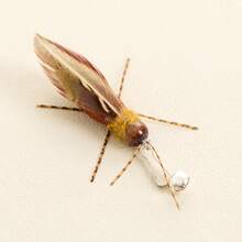 1个手工制作的逗猫棒替换头，逼真的昆虫造型，瞬间焕新宠物玩具，耐抓耐咬的聚酯材料，互动娱乐玩具