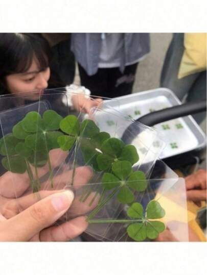 네 잎 클로버 엽서 - 천연 잔디 투명 위시 카드, 책갈피 및 장식에 이상적인 선택, 완벽한 휴일 선물, 천연 유기농 네 잎 클로버, 천연 건조 잔디, 다양한 네 잎 클로버 모양, 기념 카드, 커플의 기념품, 고백 장식