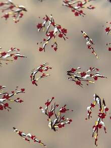 1张5D金箔梅花美甲贴纸，中式奢华美甲贴纸，精致花卉美甲贴花，冬季美甲装饰 - 彩色 - 查看 3