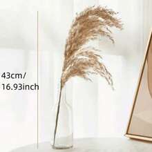 10/20 piezas Decoración de Pasto Pampa Esponjoso Marrón, Ratán Artificial Estilo Bohemio Interior Floral, Adecuado para el Hogar, Fiesta, Decoración Exterior, Boda y Compromiso, Todas las Estaciones, Exhibición de Mesa, Sin Contenedor Incluido Decoración de Primavera Día de la Madre Boda - Marrón - Ver 2