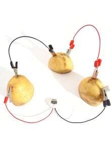 EstiloWalfront Kit De BateríA De Patata DIY Para NiñOs, Juego De Juguete Educativo Para Experimentos De Ciencia De BioenergíA Para Estudiantes De Primaria, BateríA De Fruta, Experimentos DeVersióN Mejorada