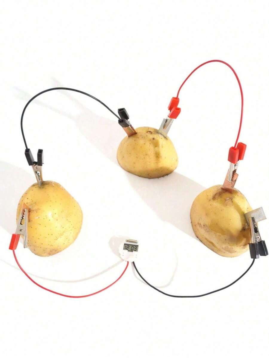 EstiloWalfront Kit De BateríA De Patata DIY Para NiñOs, Juego De Juguete Educativo Para Experimentos De Ciencia De BioenergíA Para Estudiantes De Primaria, BateríA De Fruta, Experimentos DeVersióN Mejorada