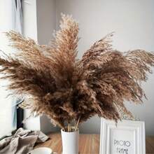 10/20 piezas Decoración de Pasto Pampa Esponjoso Marrón, Ratán Artificial Estilo Bohemio Interior Floral, Adecuado para el Hogar, Fiesta, Decoración Exterior, Boda y Compromiso, Todas las Estaciones, Exhibición de Mesa, Sin Contenedor Incluido Decoración de Primavera Día de la Madre Boda - Marrón - Ver 5