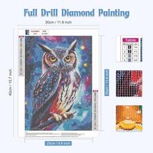 GHHKUD Diamond Painting Kits Owl For Adults, DIY 5D Colorful Owl Animals Diamond Painting, Full Drill Night Sky Diamond Art Kits Art Pictures For Relaxation Gifts Home Wall Decor 30x40cm - OWL - 查看 3